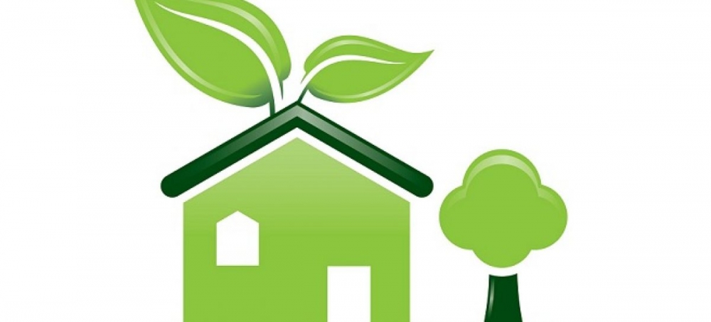 6 Ideas para Hacer de tu Hogar uno Ecológico